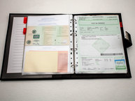 1981 BMW M1 Polaris Metallic WBS59910004301424