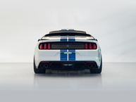 2020 Ford Shelby Mustang GT350R White - 1FA6P8JZ2L5552601 - Studio