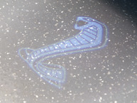 2020 Ford Shelby Mustang GT350R White - 1FA6P8JZ2L5552601 - Studio